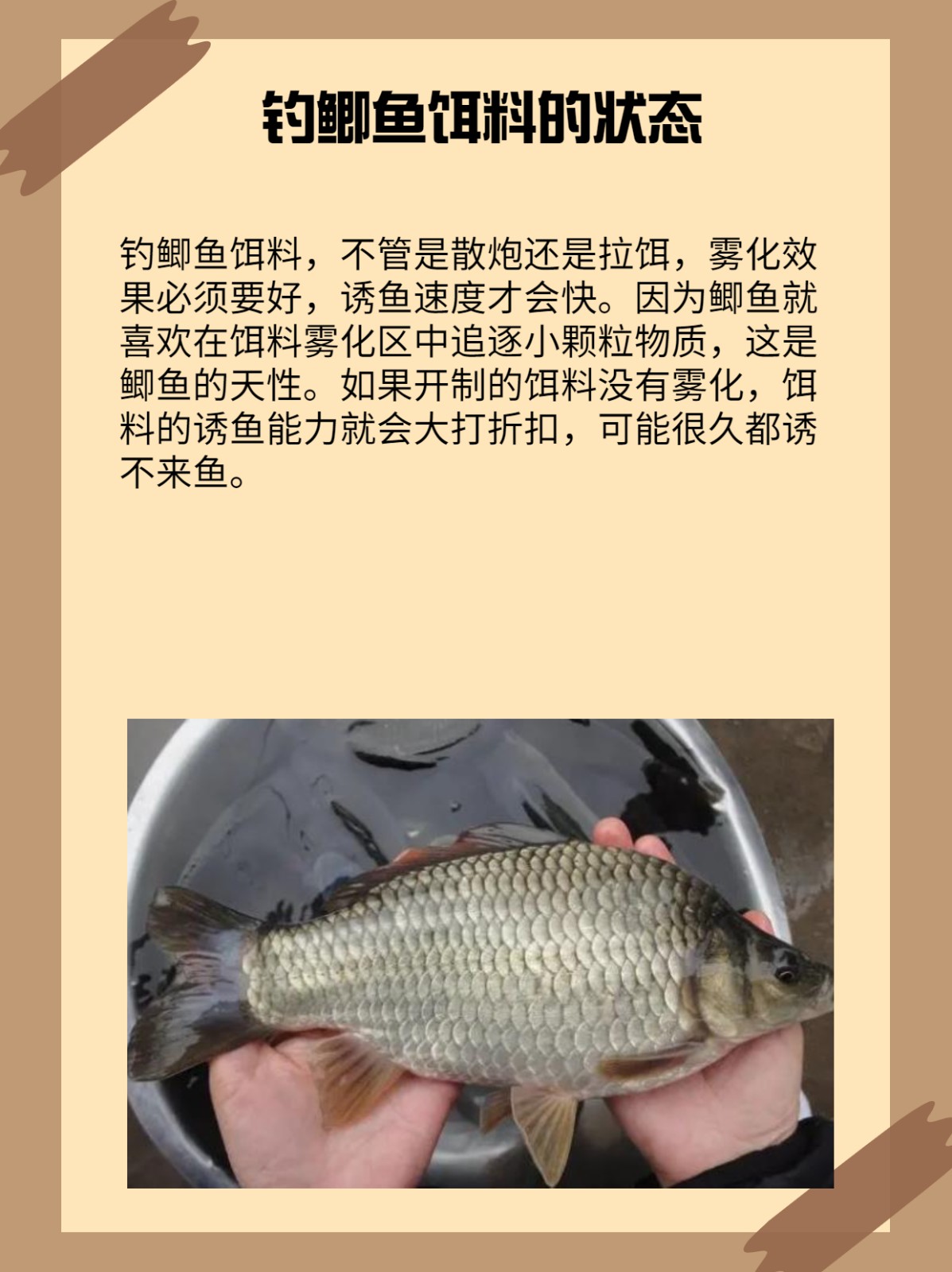 抛竿饵料比例(抛竿鱼饵怎么调不容易散)