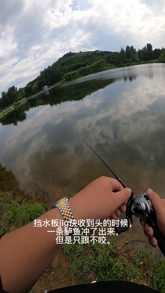 秦皇岛那能路亚啊(秦皇岛海边路亚标点)