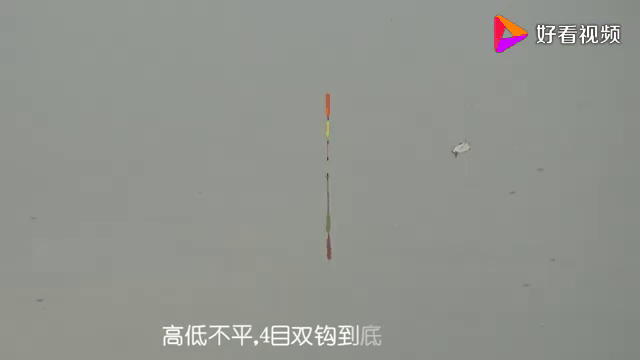 底钓鱼看漂技巧视频(底钓浮漂怎么选择)