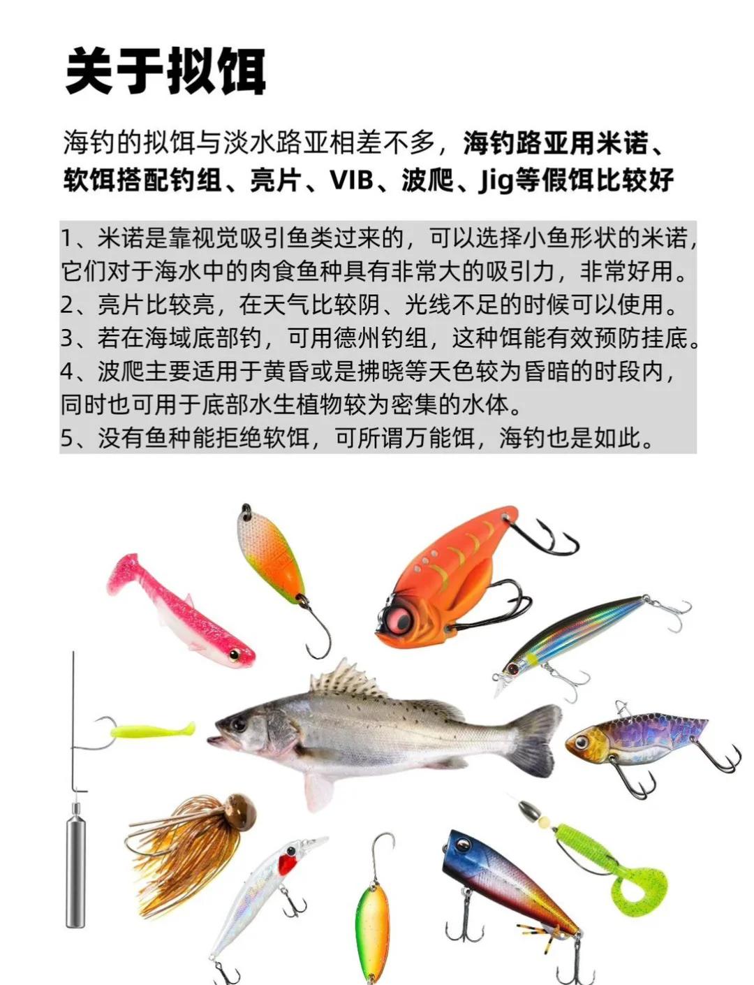 海钓新手教学(海钓新手入门教程初级)