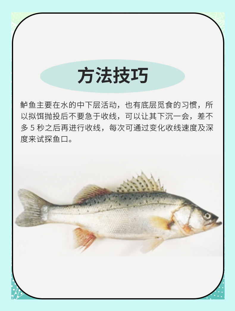 路亚什么时间最好(路亚一般什么时候钓)