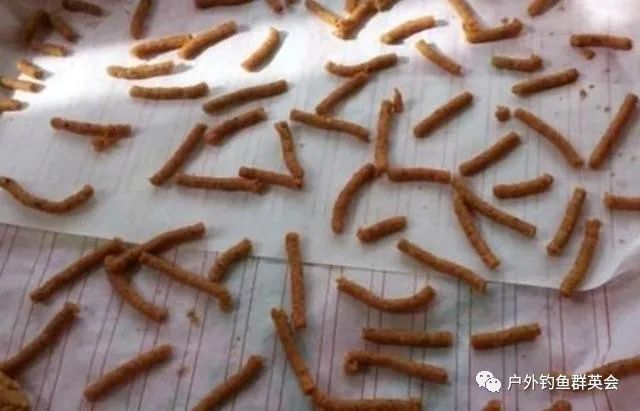 剩余的饵料(剩余的饵料能打窝吗)