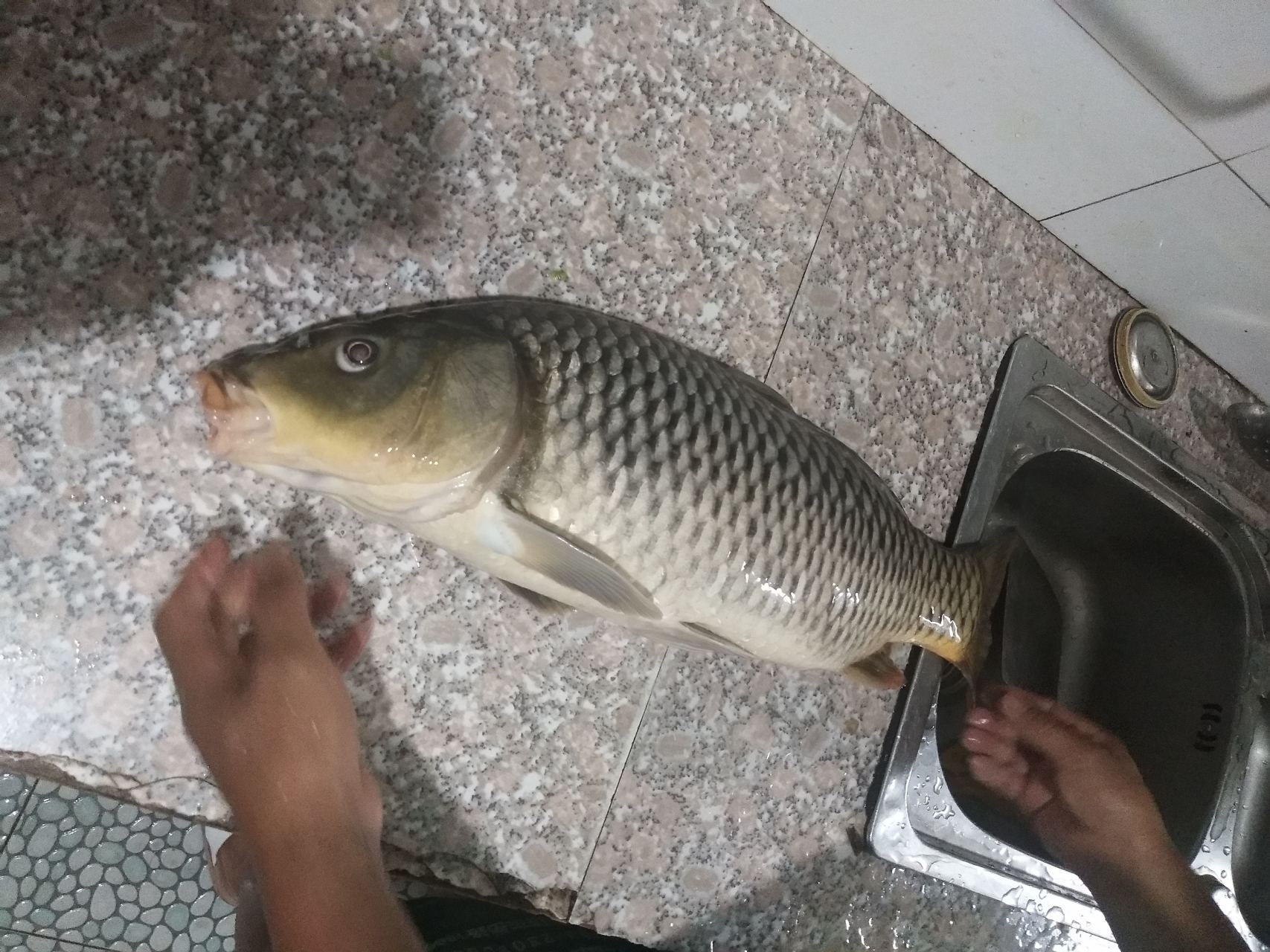 哪个饵料烧手(饵料烧手解决的办法)