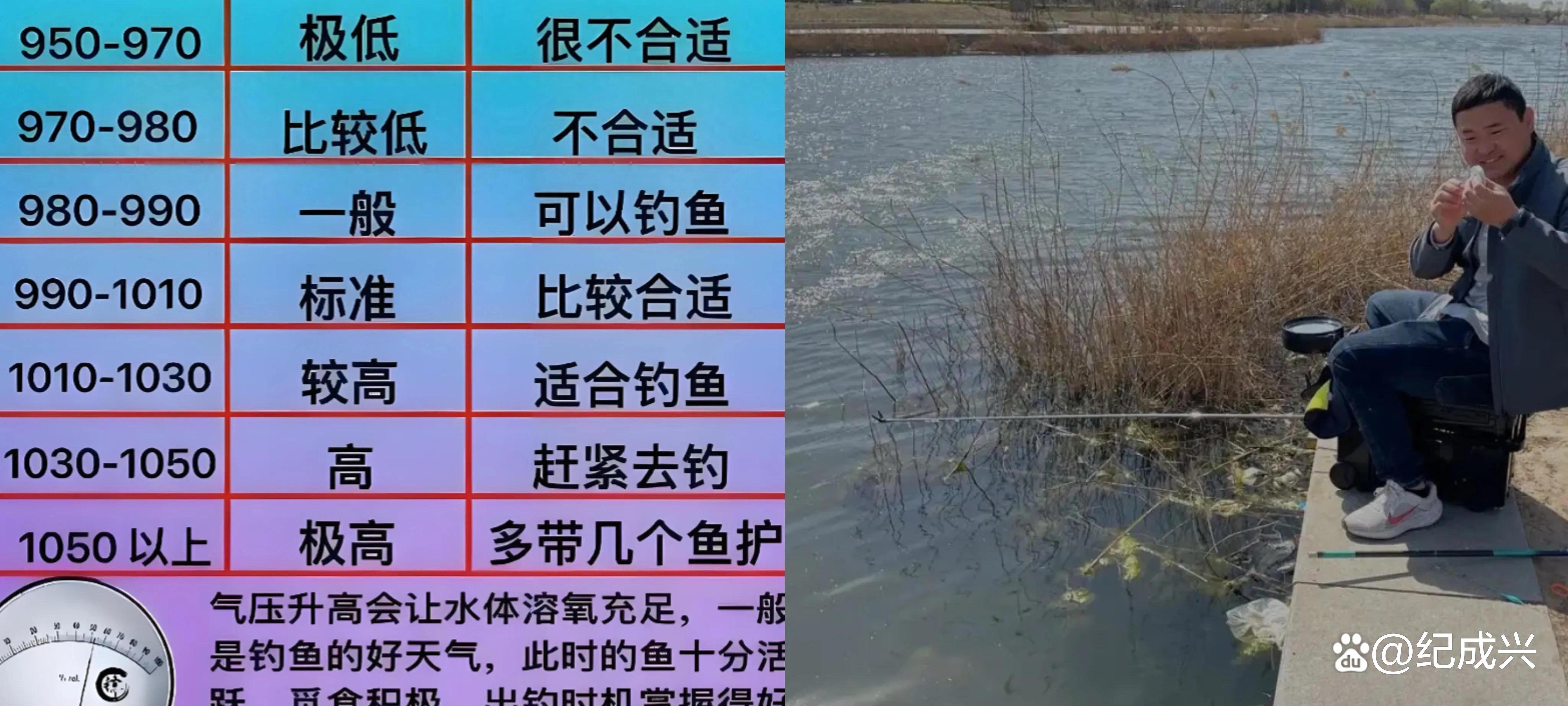 野坑钓鱼技巧(野坑钓鱼怎么调漂)