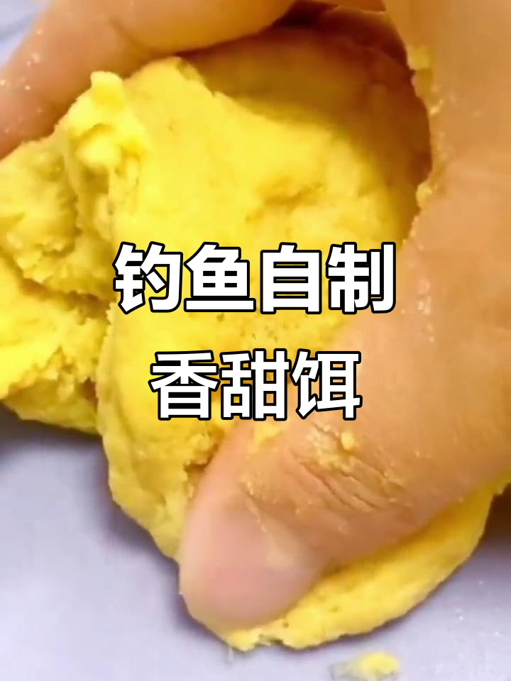 自制煮玉米饵料(自制煮玉米饵料怎么做)