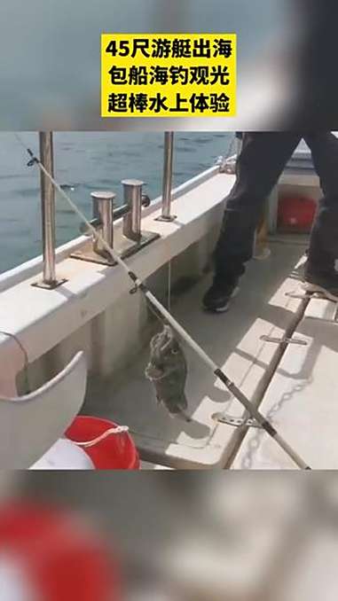 南通海钓包船价格(15米海钓船多少钱一艘)
