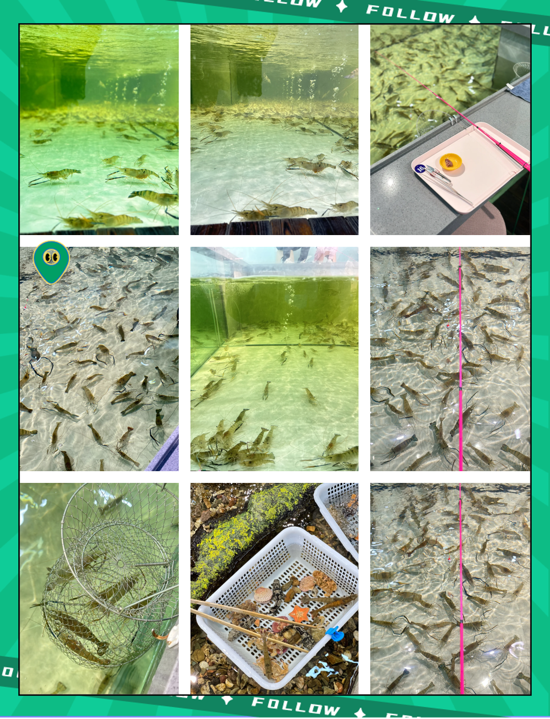 假虾钓鱼技巧(假虾海钓视频)