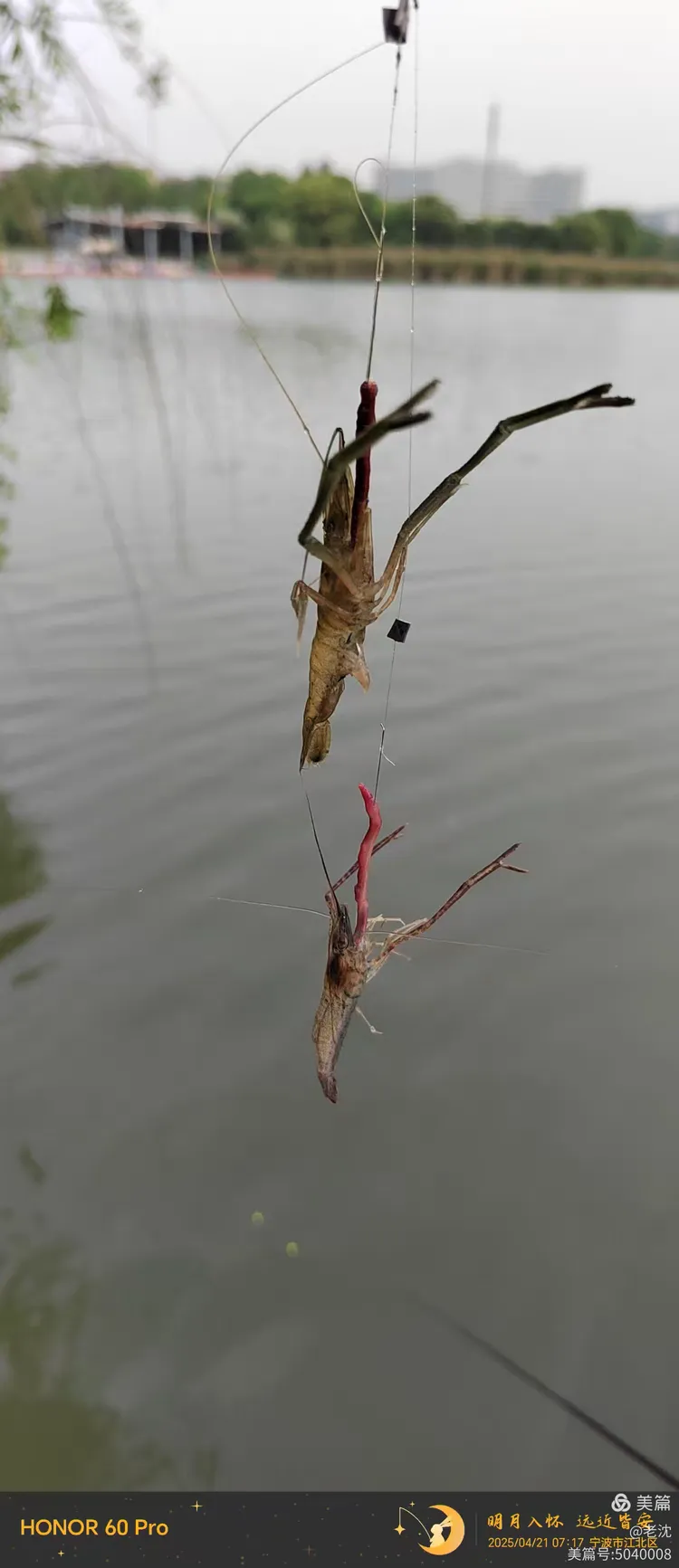 假虾钓鱼技巧(假虾海钓视频)