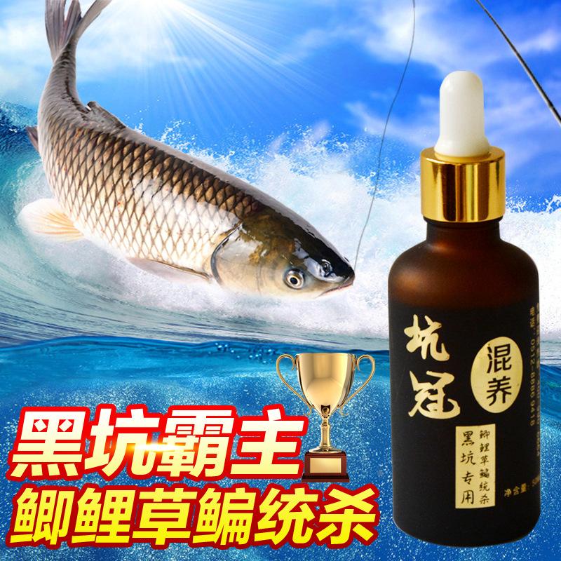 坑冠系列饵料(坑冠24k钓鱼小药怎么样)