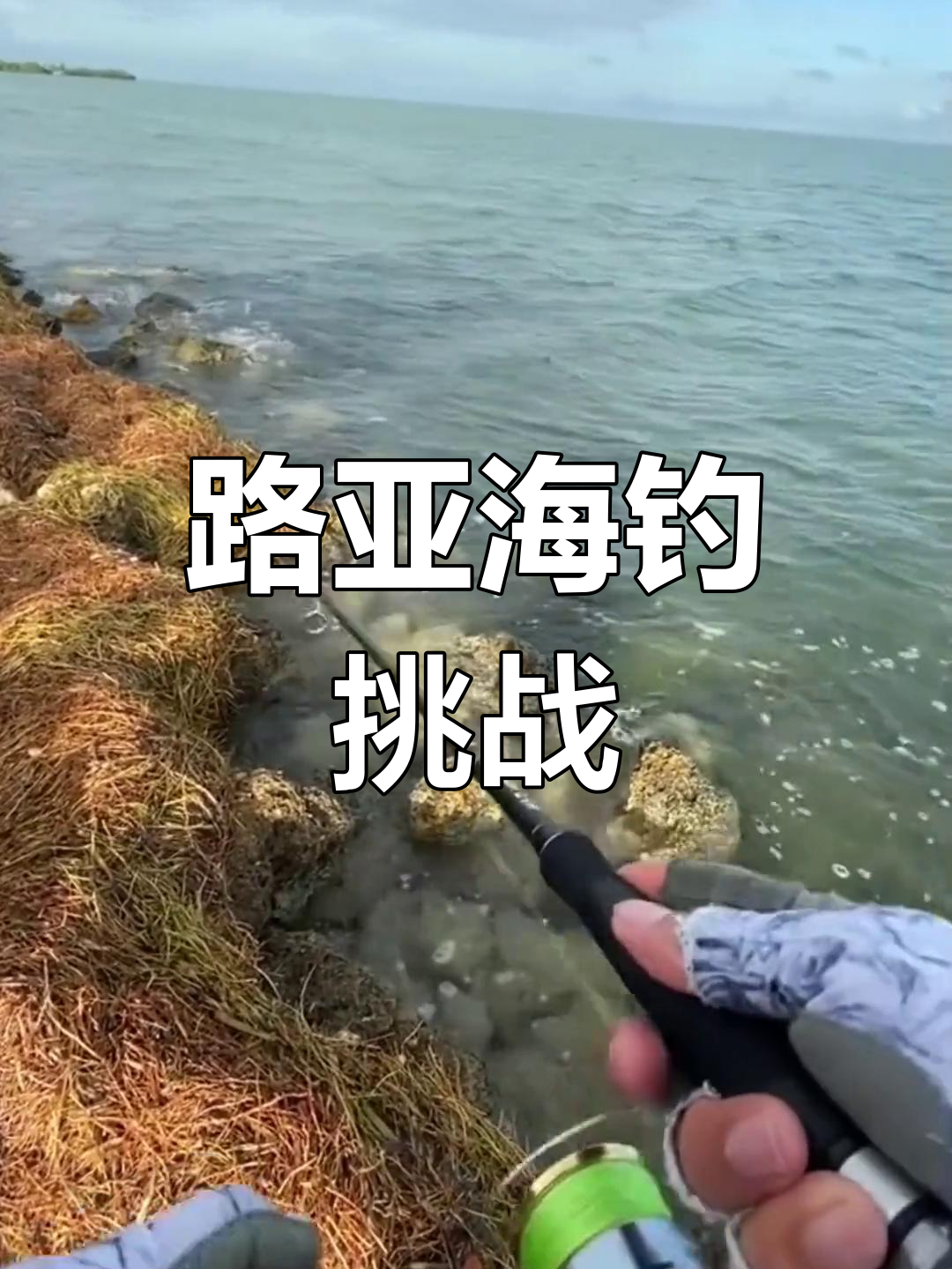 海钓路亚常见鱼(路亚海钓一般钓什么鱼)