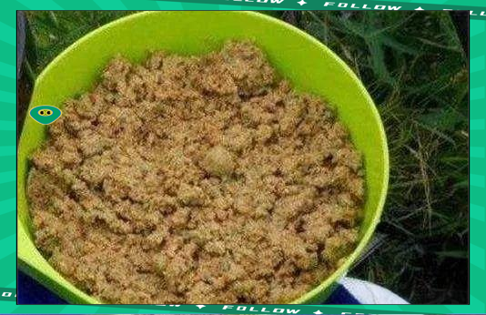 玉米蜂蜜饵料泡制视频(玉米蜂蜜饵料泡制视频讲解)