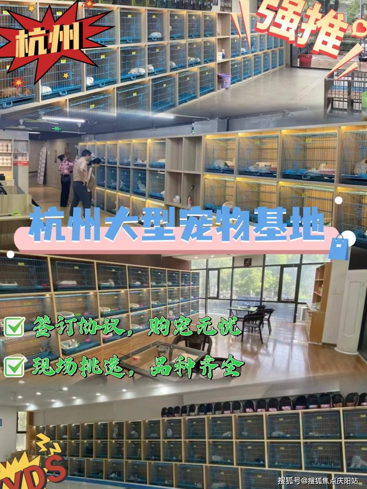 萧山渔具市场在哪里(萧山哪里有卖鱼缸便宜)