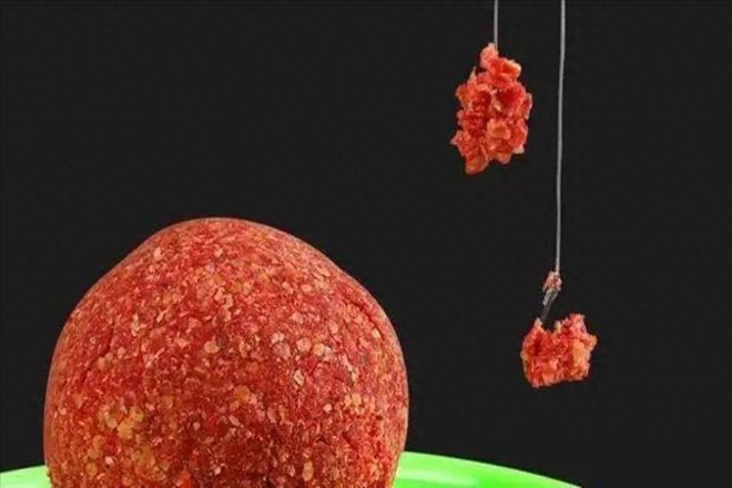 鱼钩拉饵料视频(鱼钩拉饵料视频教程)