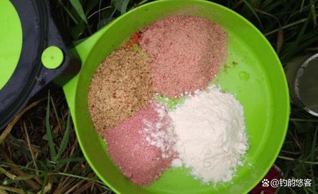 饵料合(饵料合养海葵放在大海里能活多久)