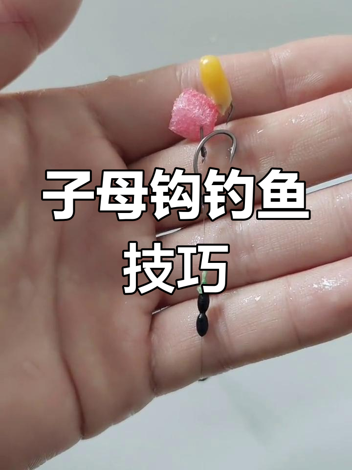 饵料的正确挂钩方法(钓鱼饵料的正确挂法)