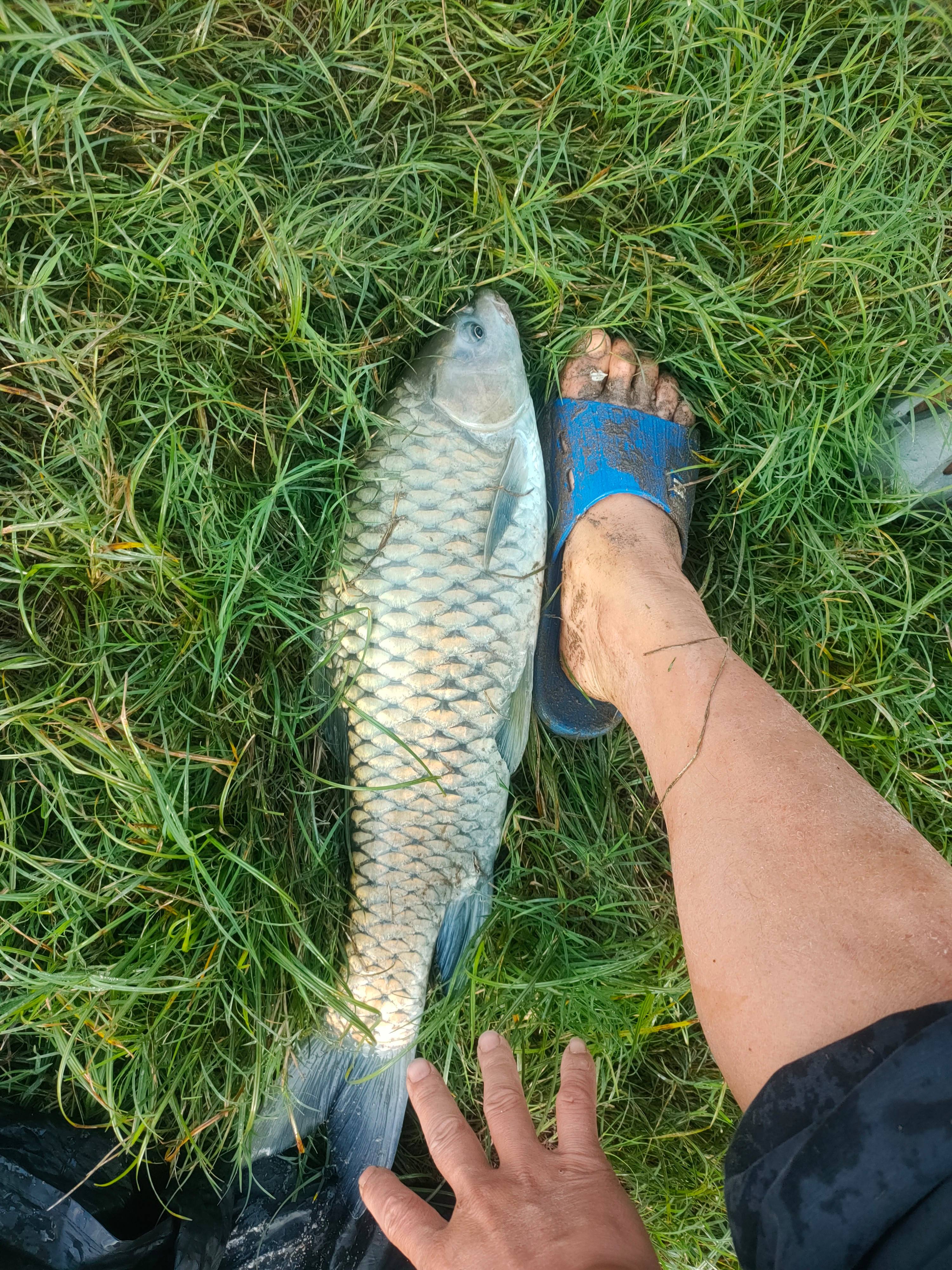 海钓主线多长合适(海钓主线选择)