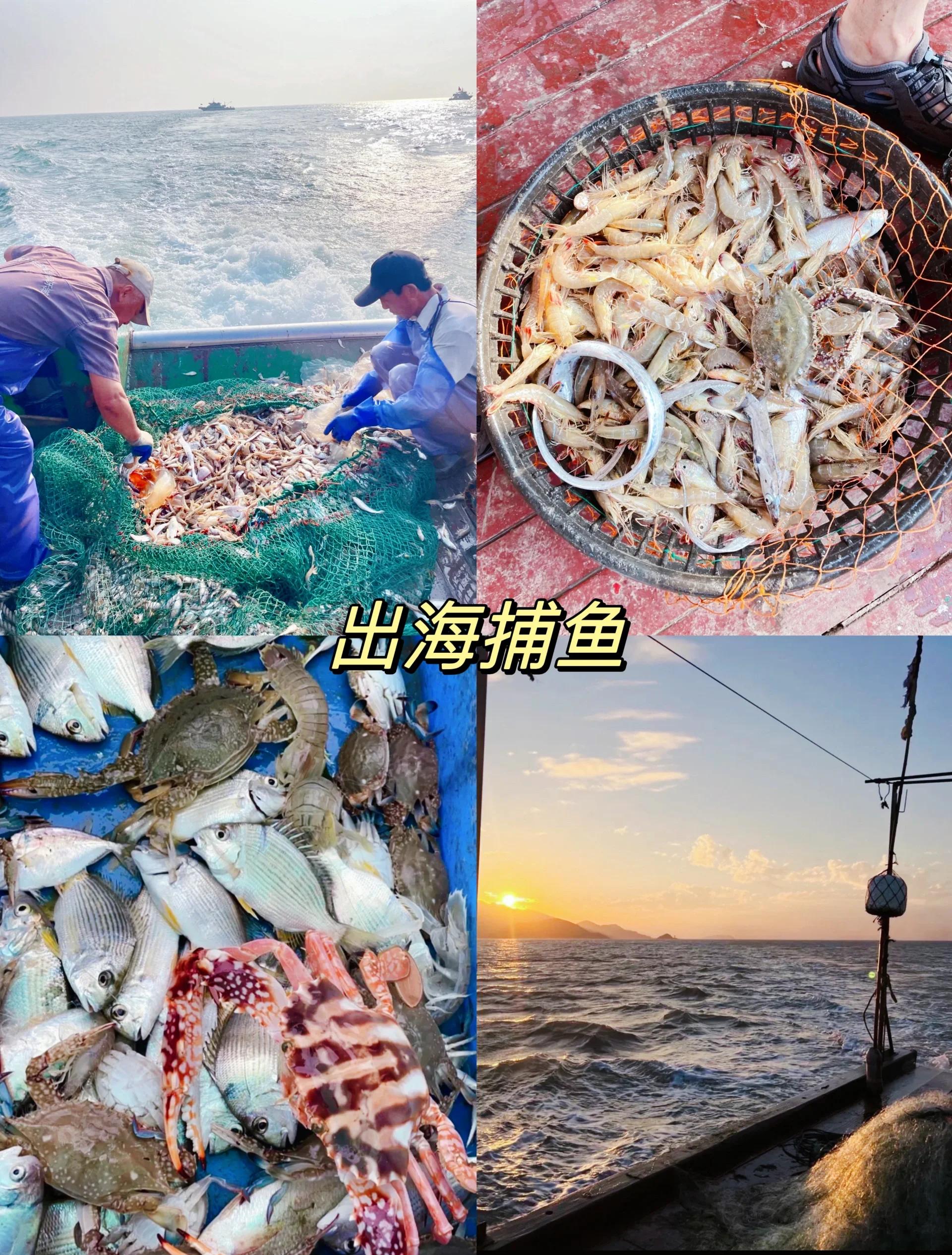 石铺海钓(石浦 海钓)