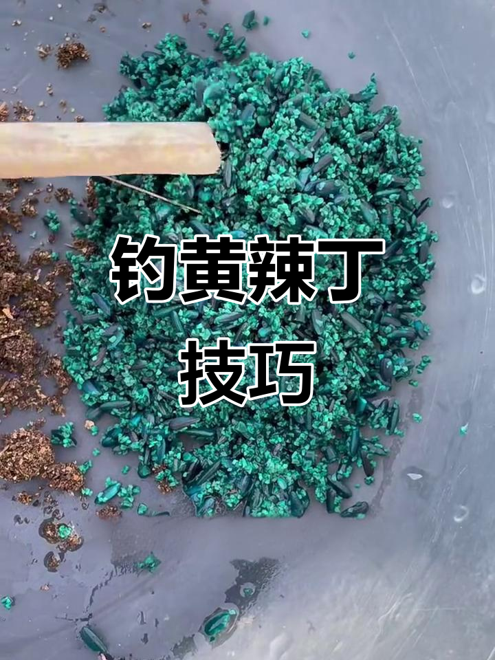 路亚黄辣丁技巧(路亚竿能钓黄辣丁吗)