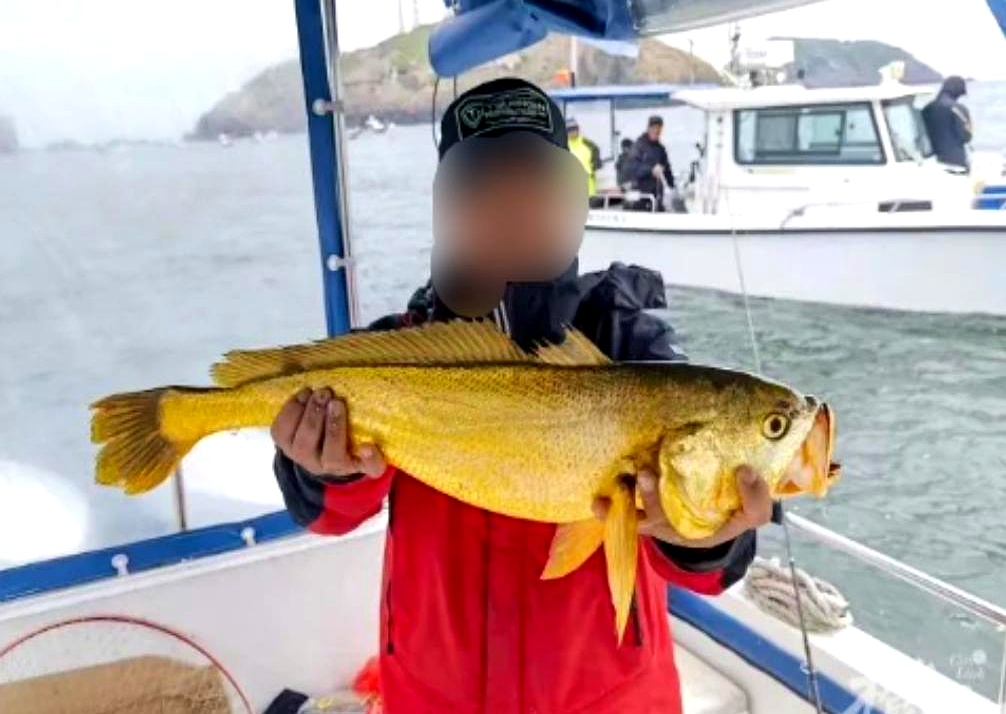 海钓鱼视频大全(海钓的视频海钓的所有视频)