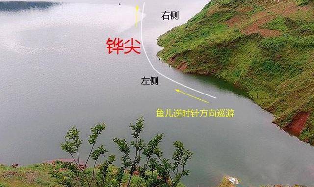 晃钩钓鱼的技巧视频(钓鱼技巧视频)