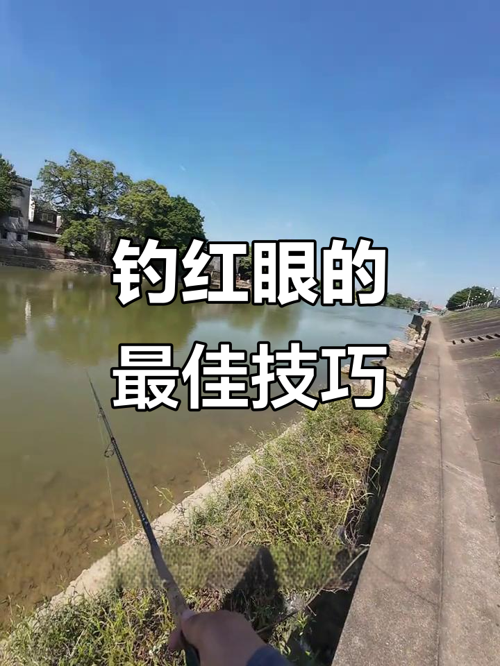 路亚钓红眼(路亚钓红眼鱼的线组搭配)