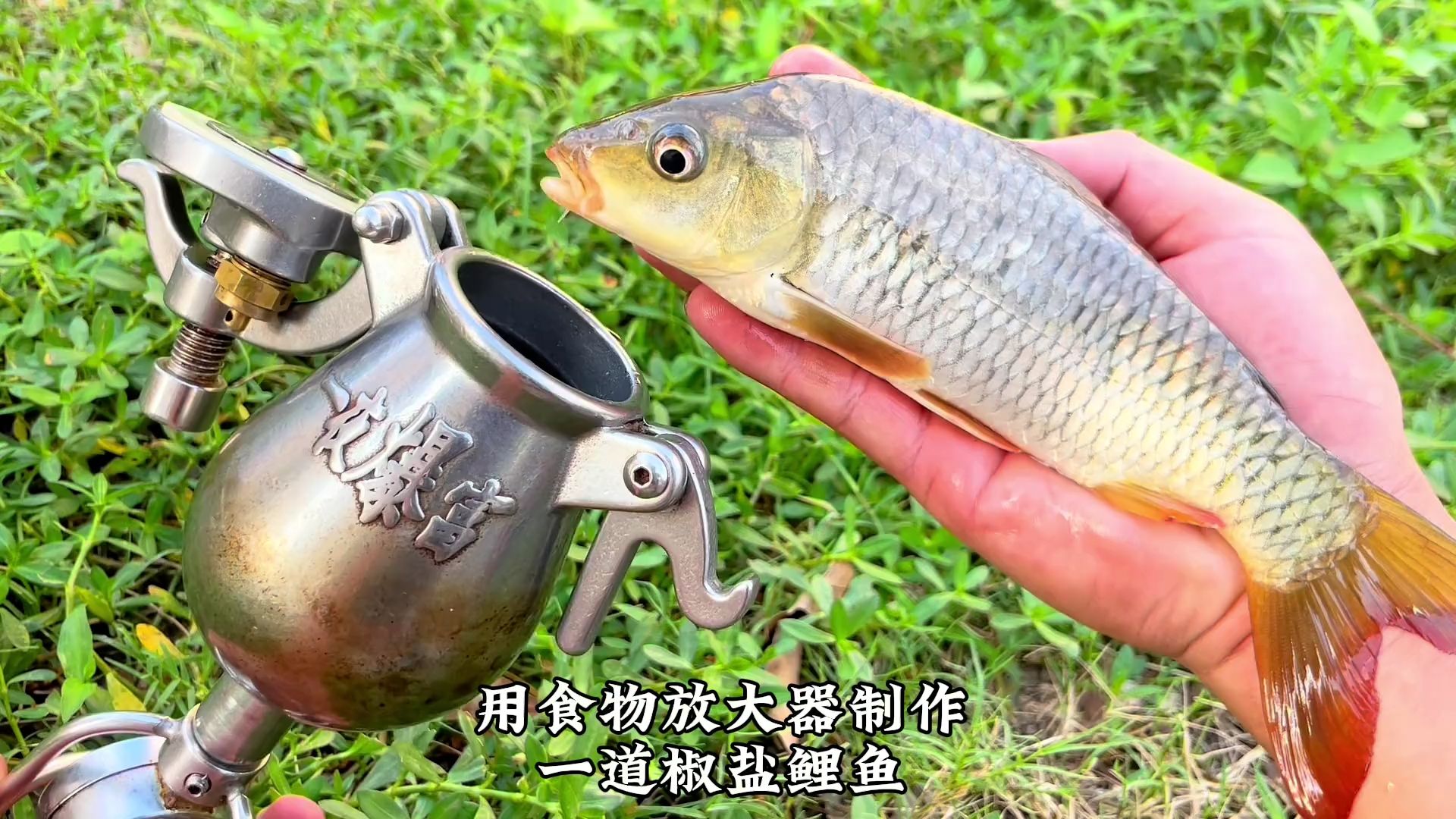 抓鲤鱼的吃口技巧(抓鲤鱼视频大全集)