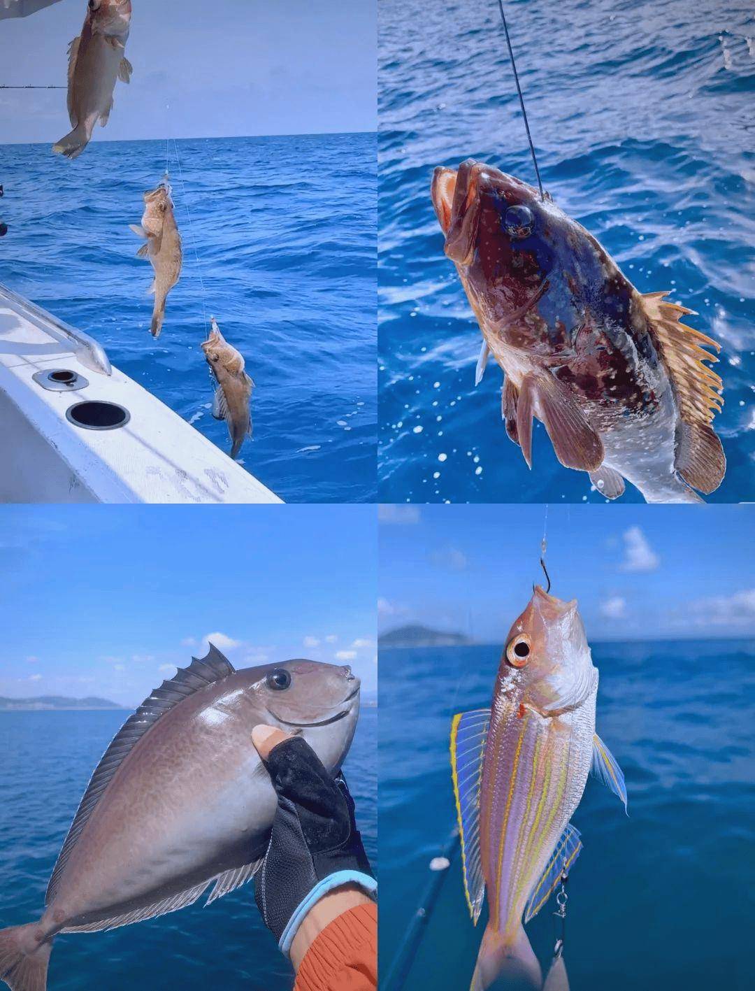 海钓应选什么潮水(海钓钓什么潮水好)
