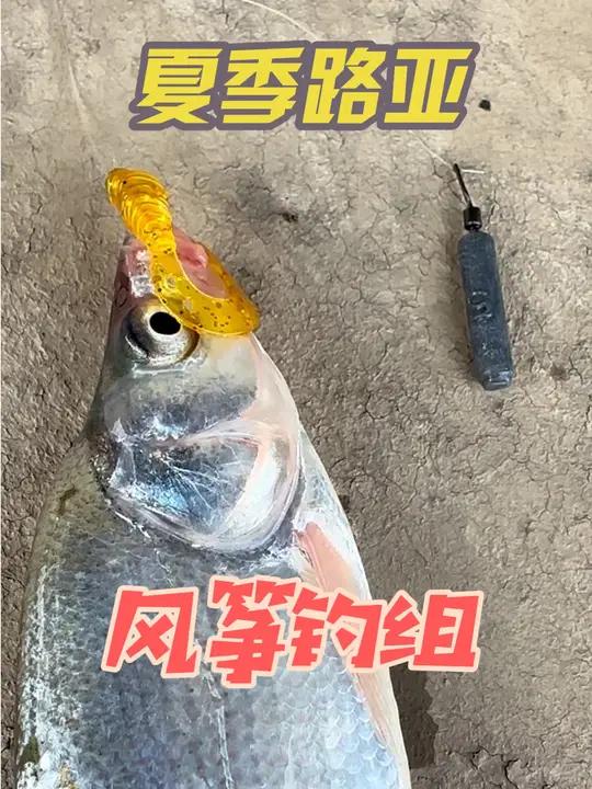 六米水深路亚(野钓6米水深钓底还是半水)