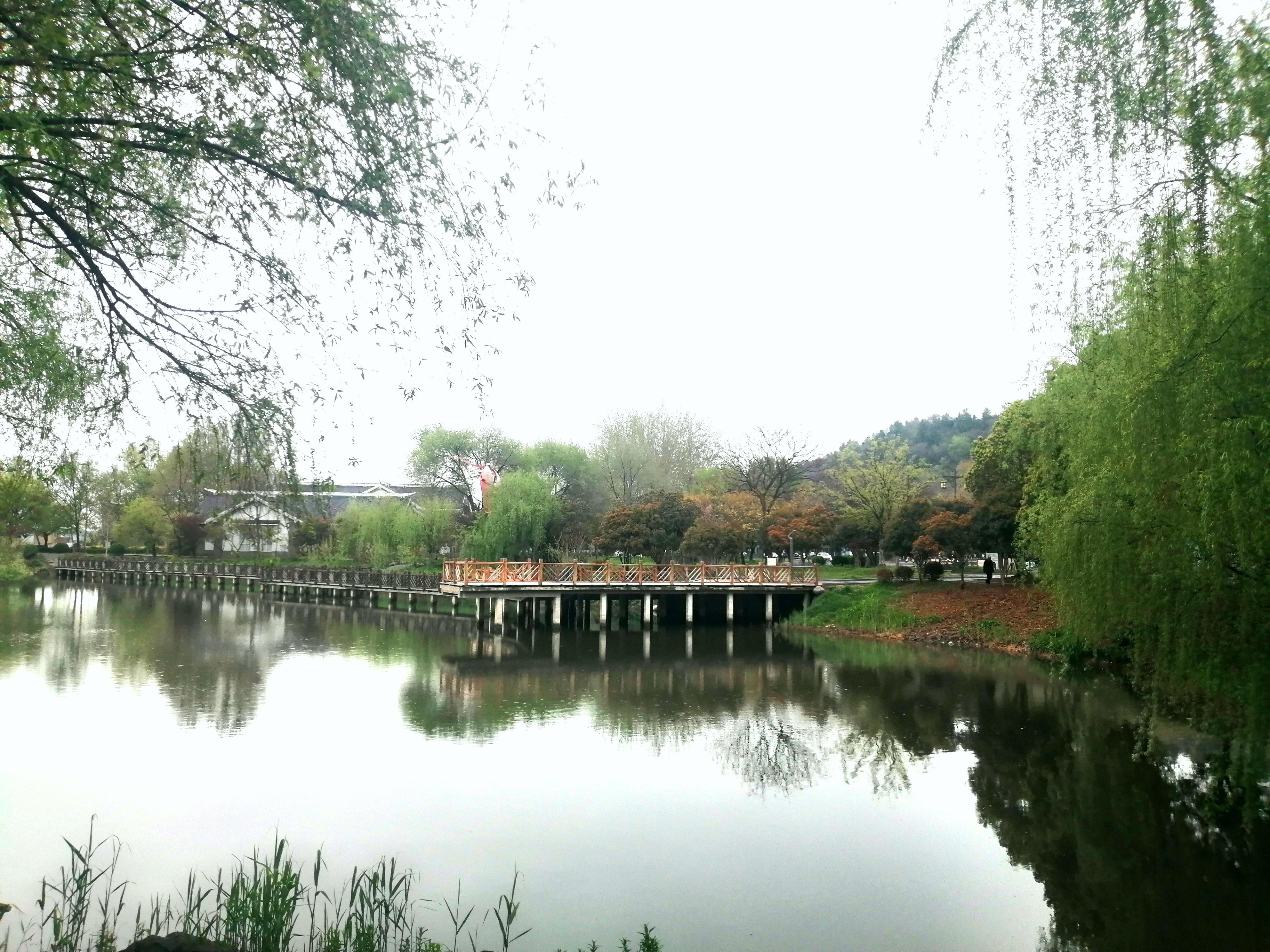 盱眙淮河路亚(全国最大路亚饵批发)