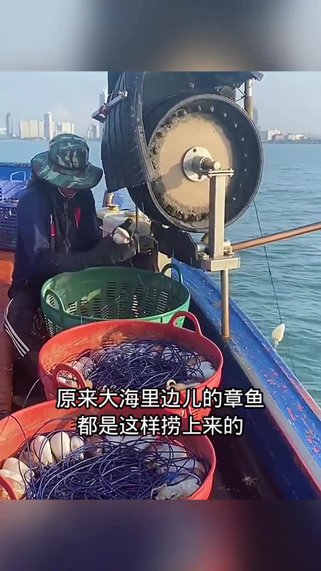 夜间出海钓章鱼(晚上出海钓鱼)