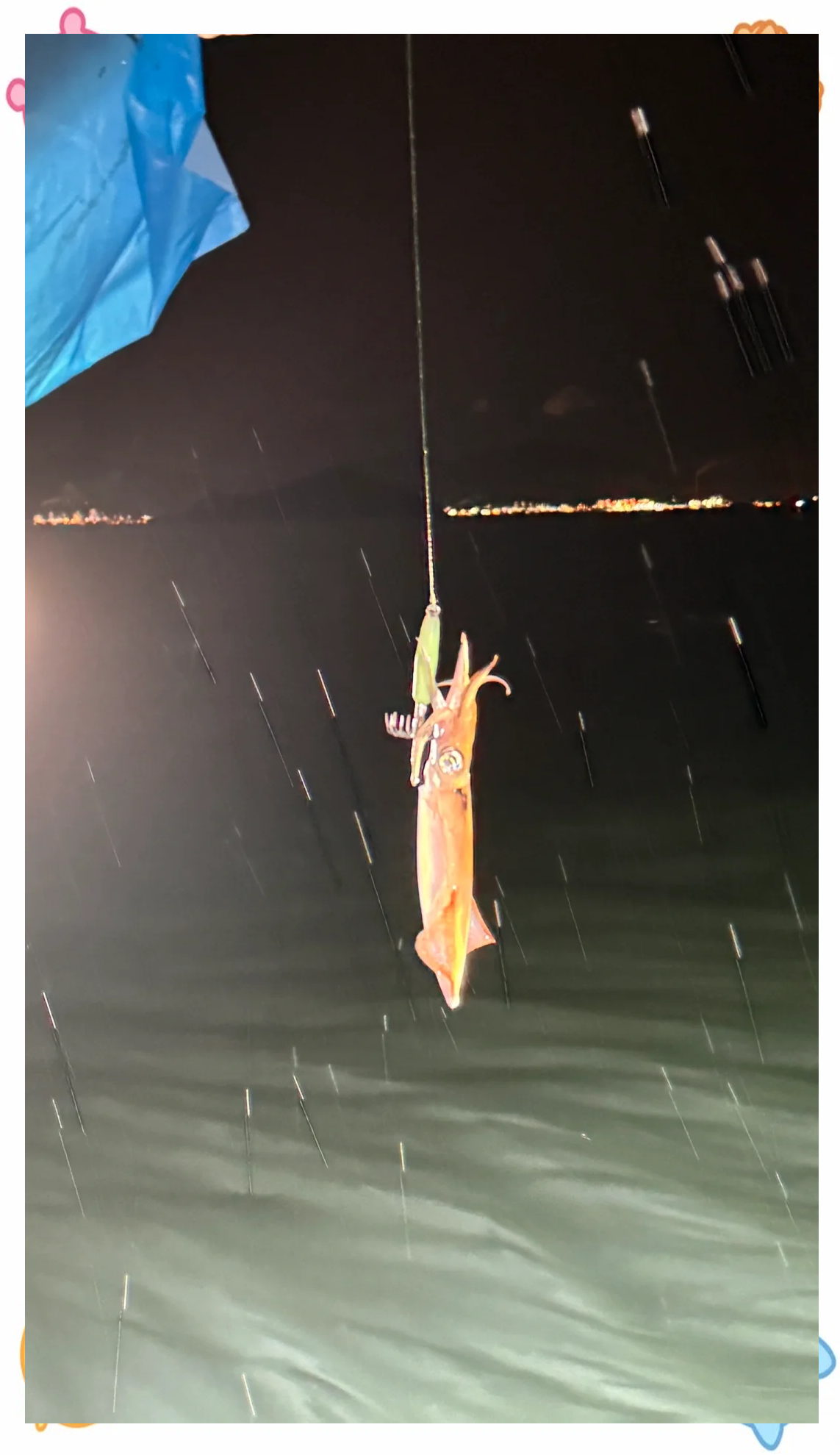 夜间出海钓章鱼(晚上出海钓鱼)