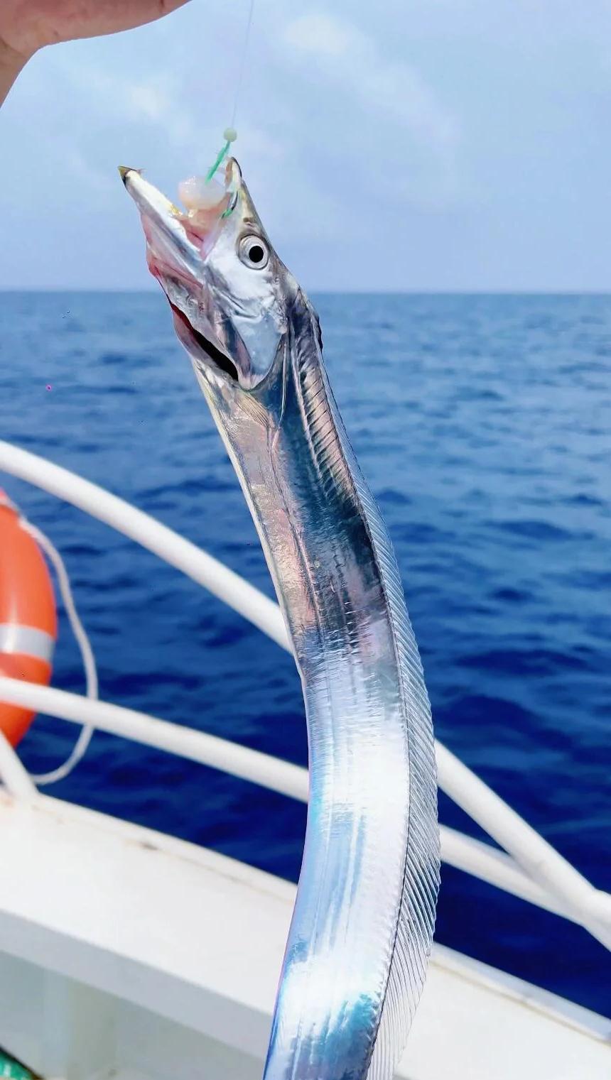 深海钓鱼船出海(深海钓鱼船需要什么手续)