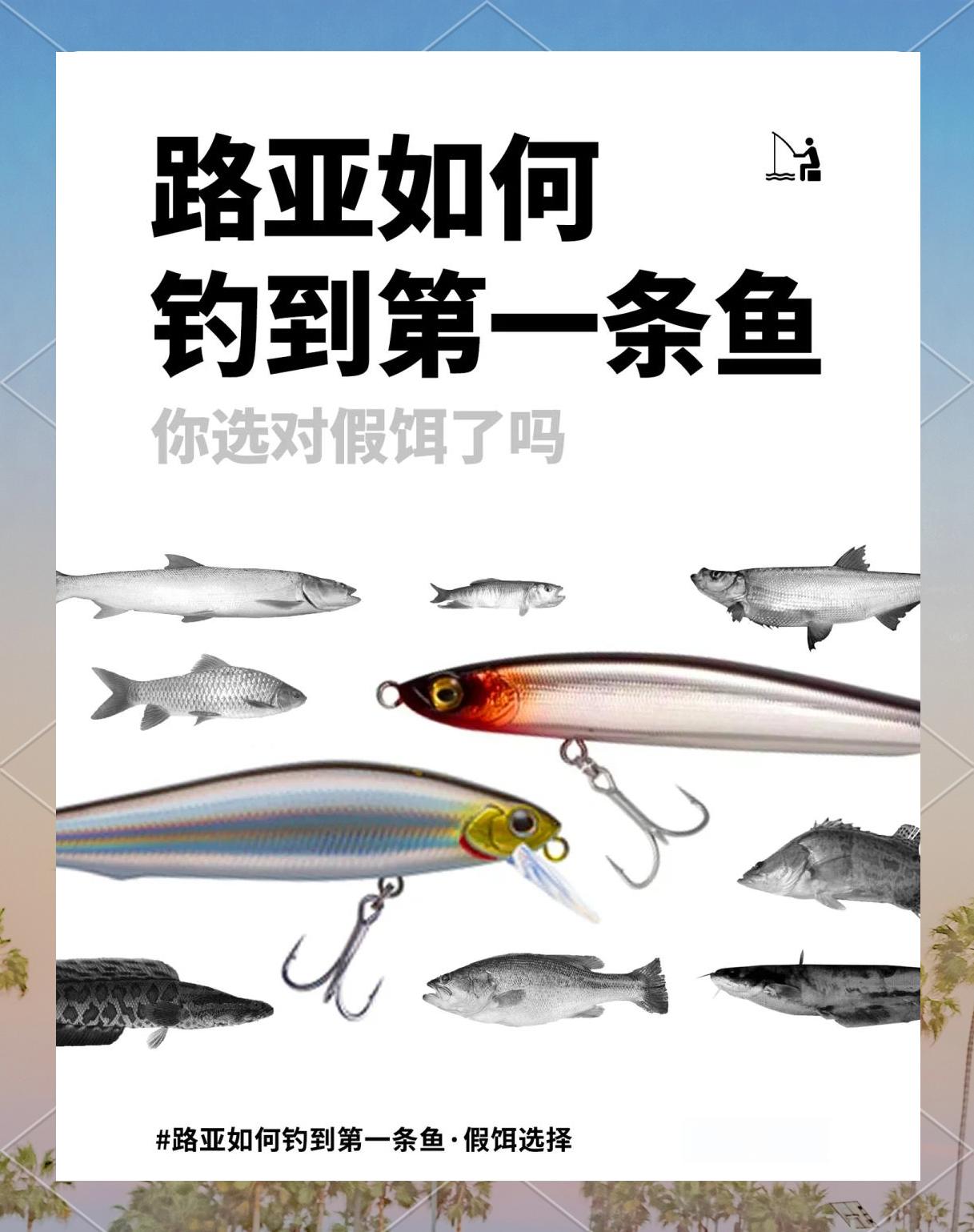 路亚饵针对鱼类(路亚针对鱼种)
