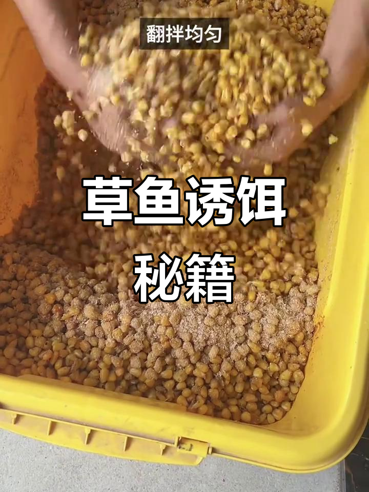 钓鱼发酵饵料(钓鱼发酵饵料怎么用)