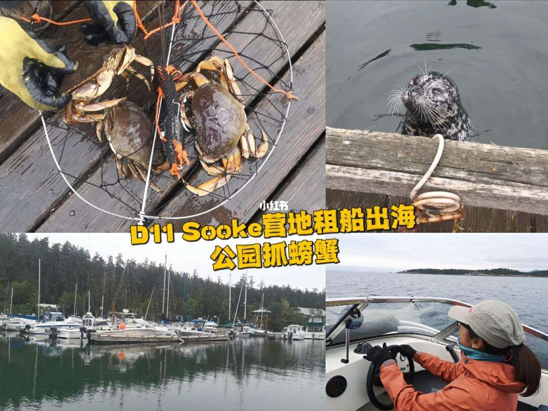 大连租船出海钓鱼价格(大连海钓船租赁网)