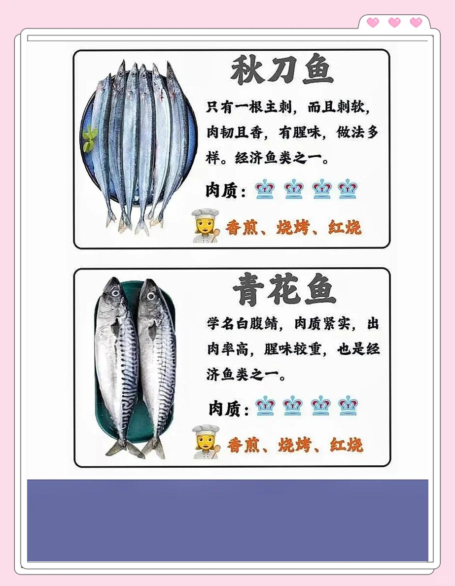 秋刀鱼可以拿来海钓吗(秋刀鱼可以直接钓鱼吗)