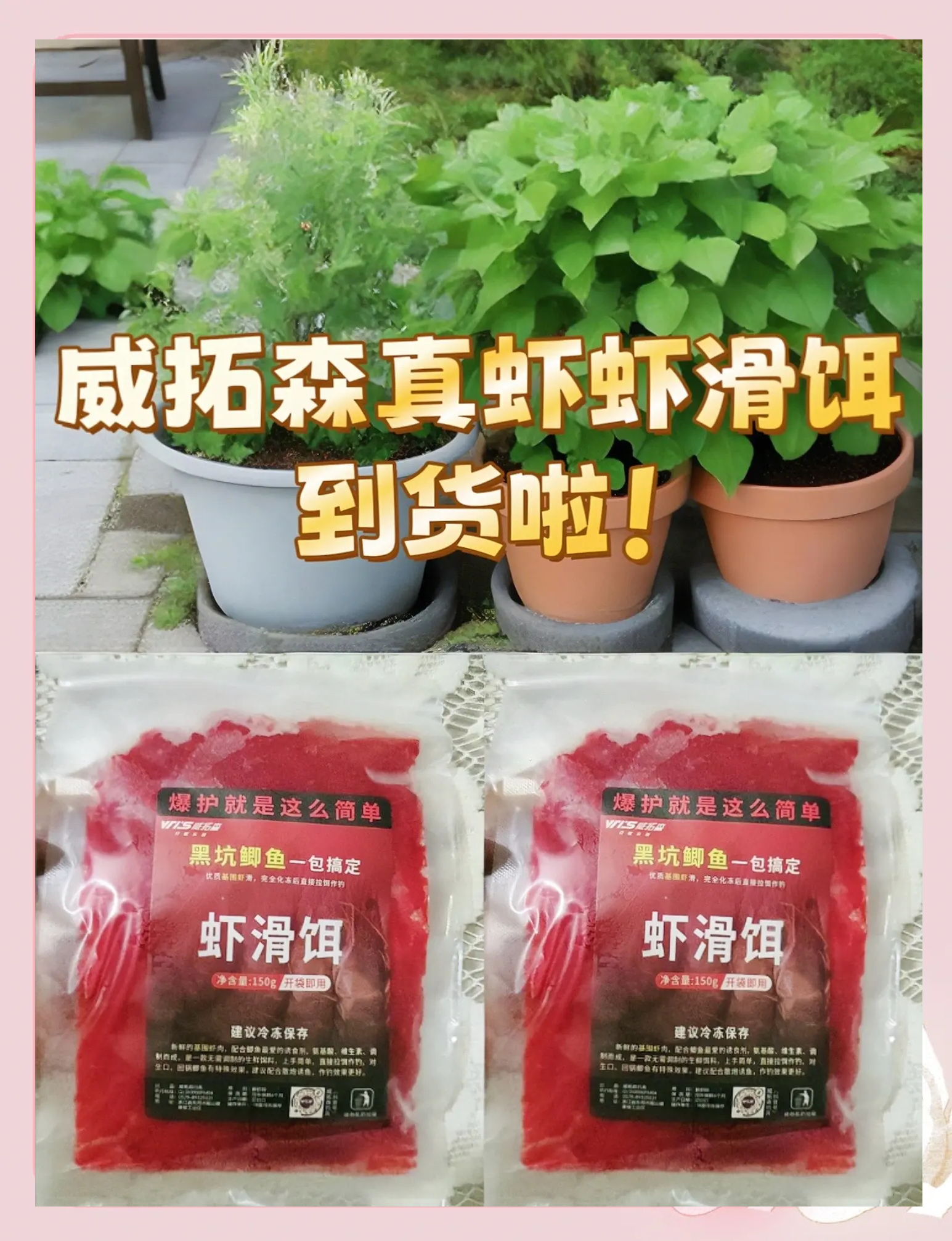 虾肉当饵料(虾肉饵料制作方法)