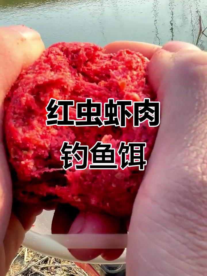 虾肉当饵料(虾肉饵料制作方法)