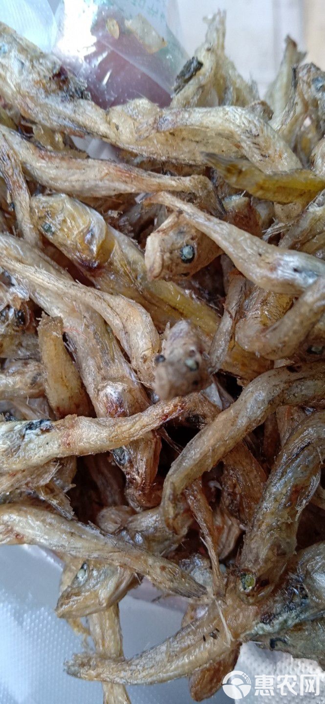 沙沟鱼的饵料(沙沟鱼用什么饵钓)