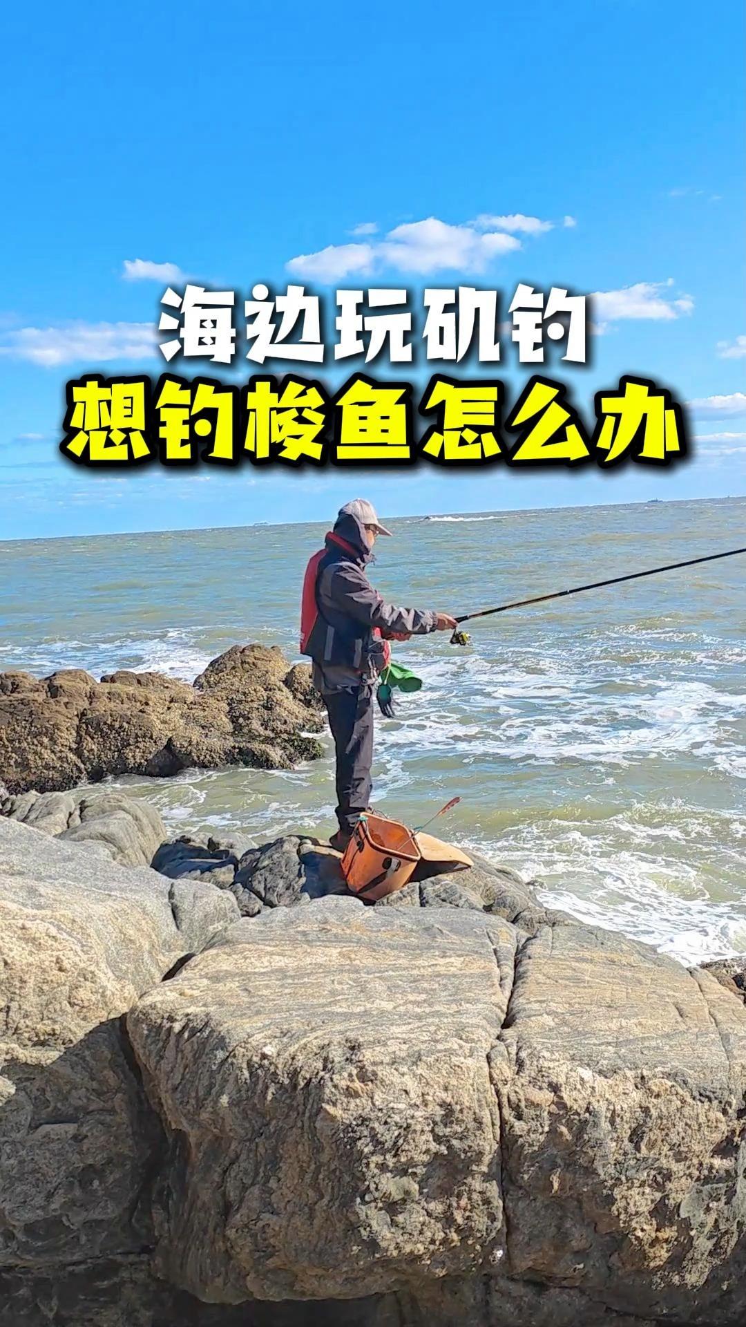怎么海钓梭鱼(海钓梭鱼一般是钓底还是钓浮)
