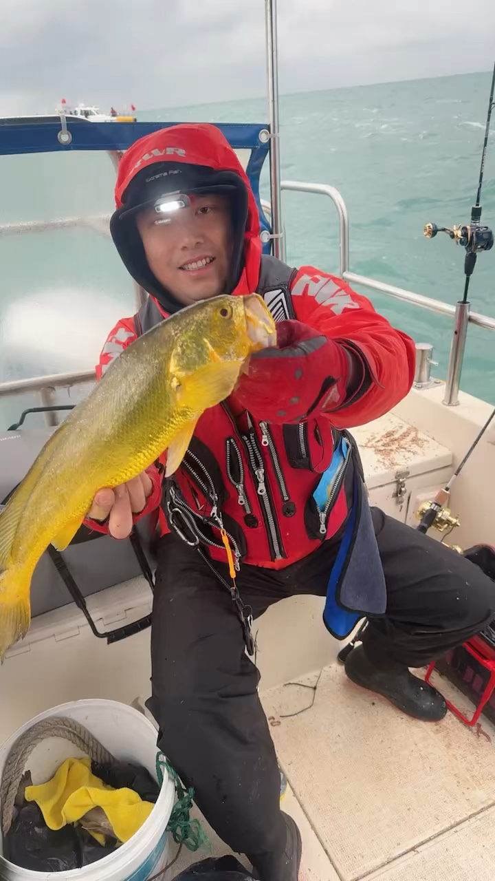 福建海钓黄鱼(黄海钓鱼鱼种)