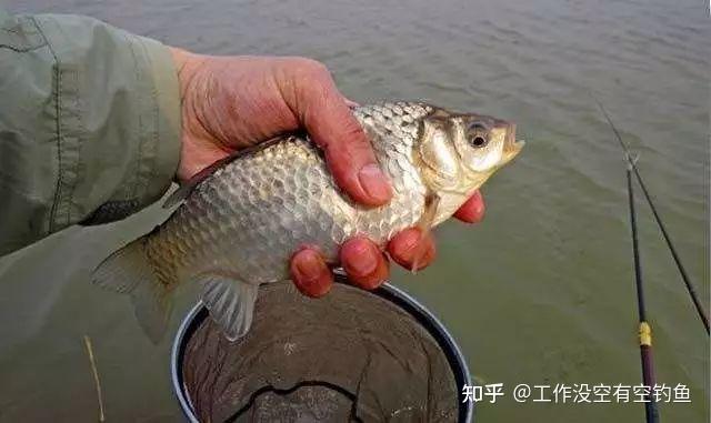 垂钓技巧交流(垂钓教程)