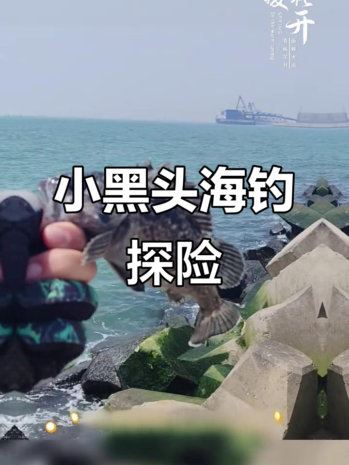 海钓怎样钓黑头(海边钓黑头用几号勾)