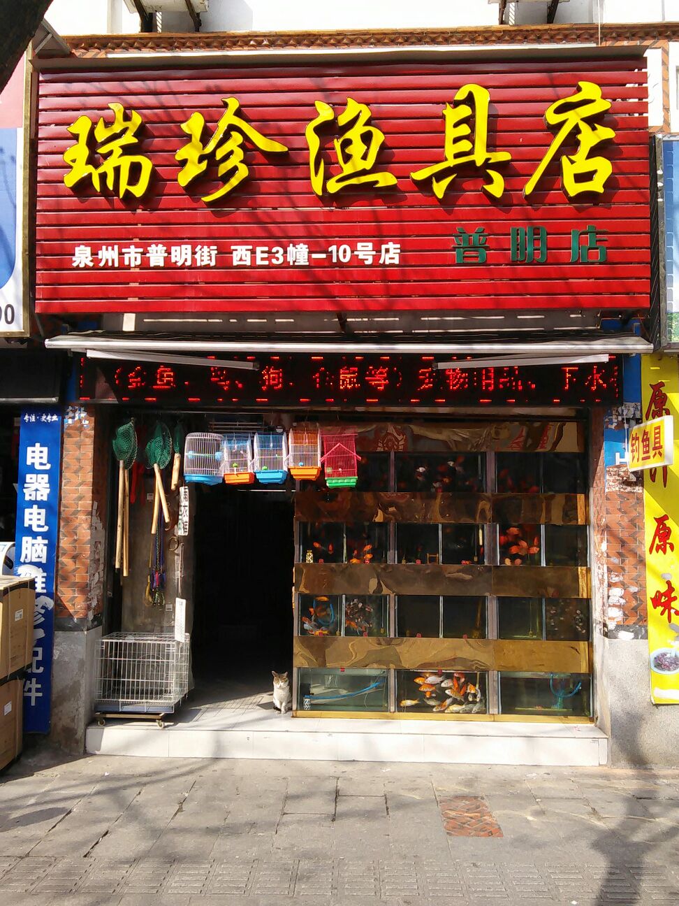 聊城市渔具店(查找附近渔具店)