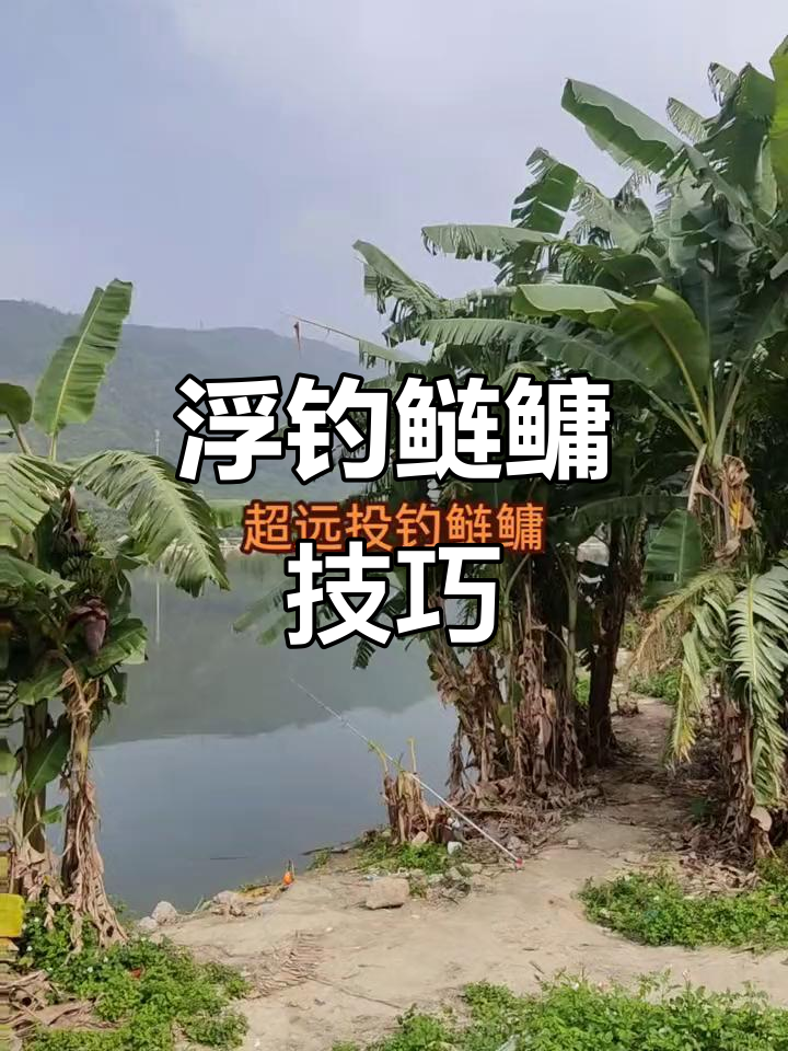 深水浮钓鲢鳙技巧(深水钓浮怎么调漂图解)