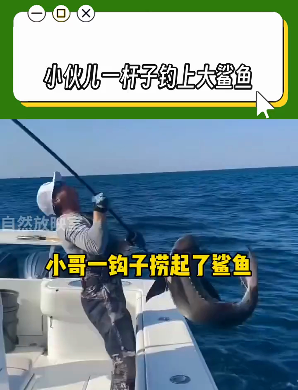 四海钓鲨鱼(海钓钓鲨鱼视频)