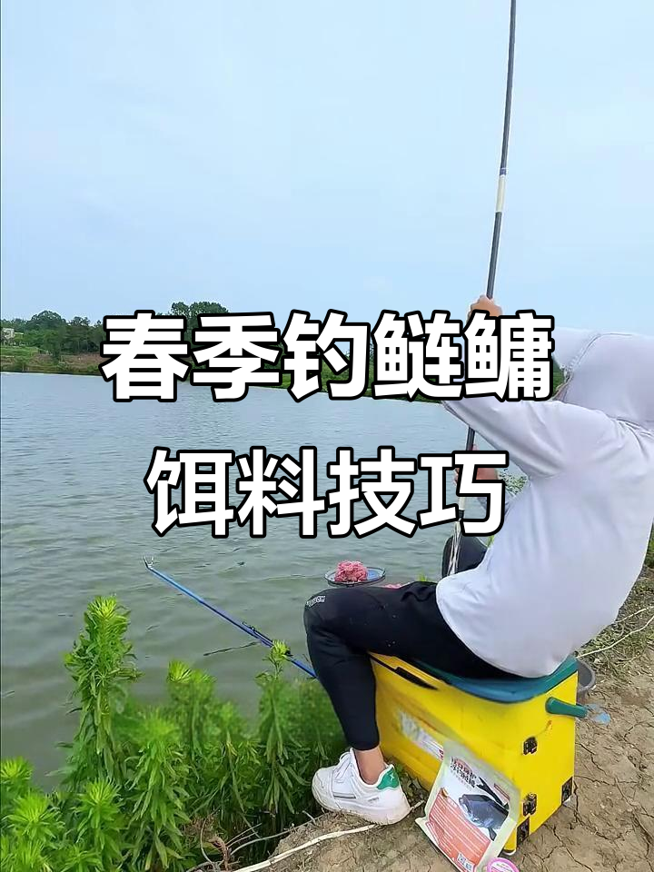 春天钓鲢鱼的小技巧(春天钓鲢鱼的小技巧视频)