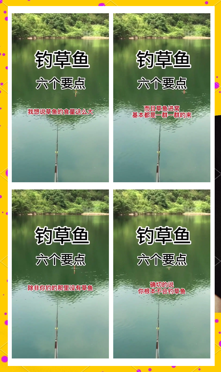 钓田鱼技巧(钓田鱼用什么鱼饵最好)
