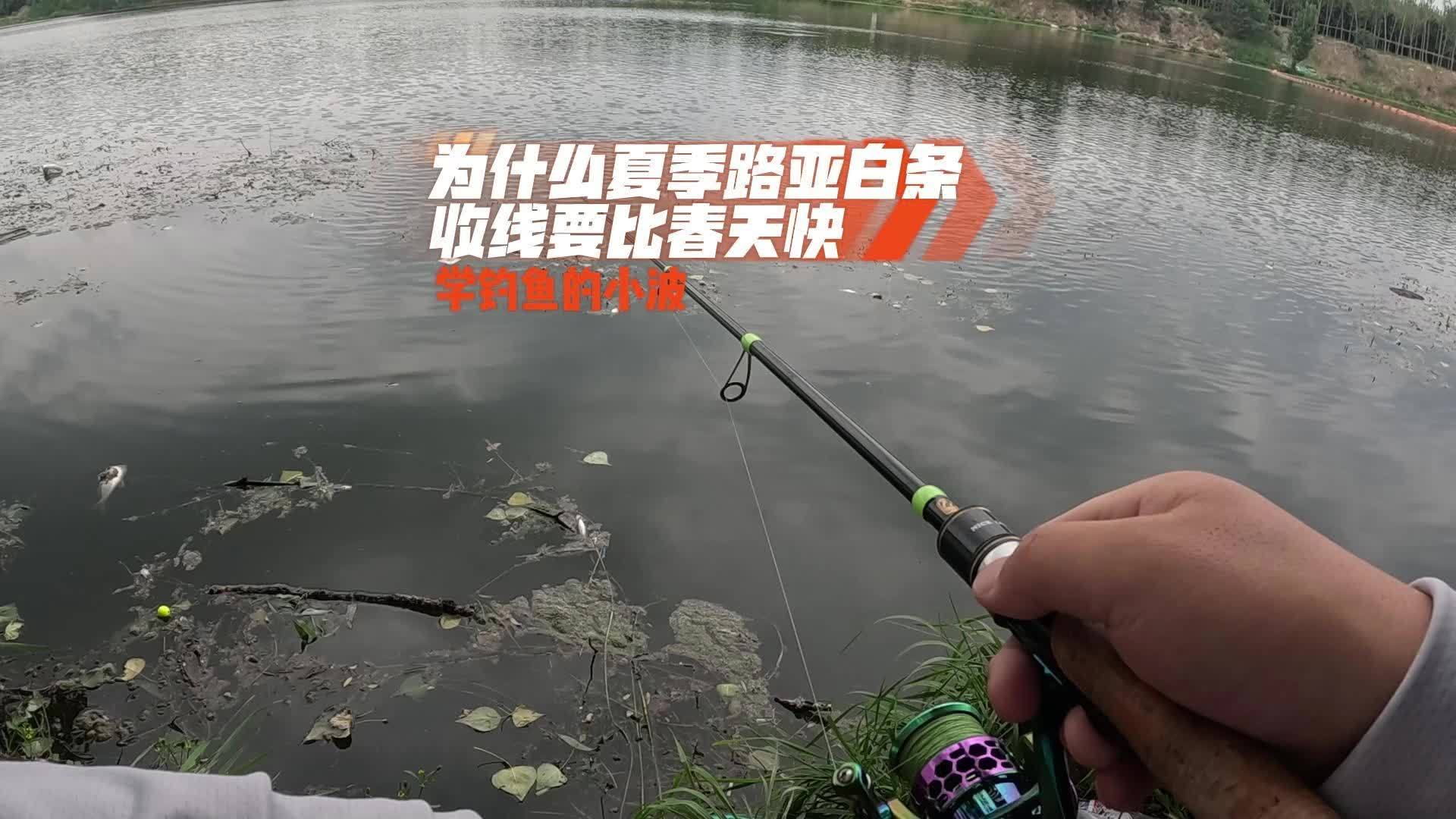 夏天路亚(夏天路亚适合钓什么鱼)
