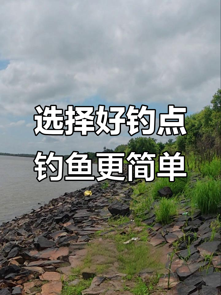 在城市江里面钓鱼技巧(江边钓鱼)